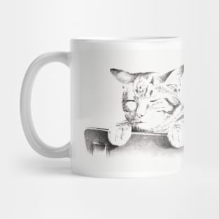 Kitty Cats Mug